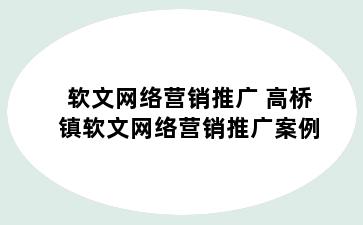软文网络营销推广 高桥镇软文网络营销推广案例